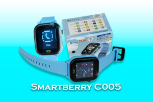 Smartberry C005